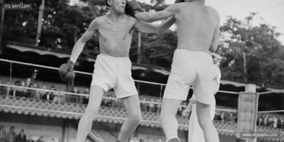 🎉 弹幕、解说、回放，直播乐趣不止于观看！